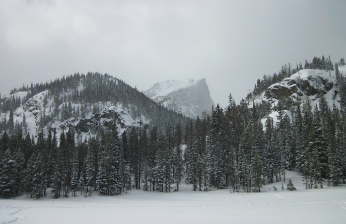 Rocky Mountain National Park von Robert Tadlock