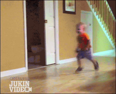 catgif12.gif