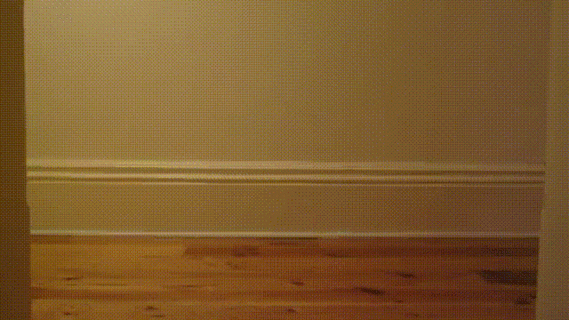 catgif6.gif