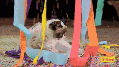 catgif7.gif