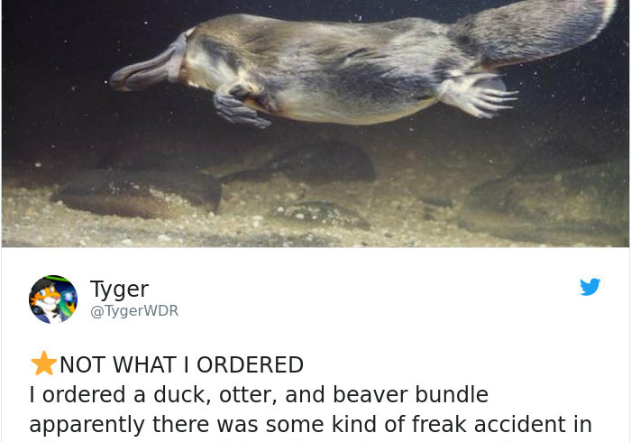tweet3.jpg